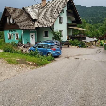 Apartma Condor Bohinj Zewnętrze zdjęcie